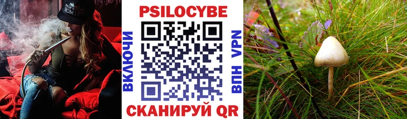 Купить где  Верхняя Салда  Галлюциногенные грибы прущие грибы 